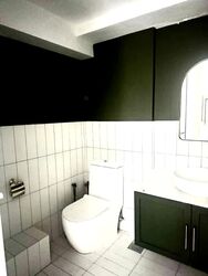 Primax (D19), Factory #532135841